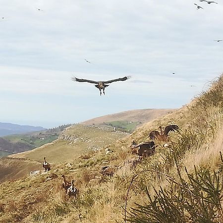 La Pasiega San Roque de Ríomiera 外观 照片