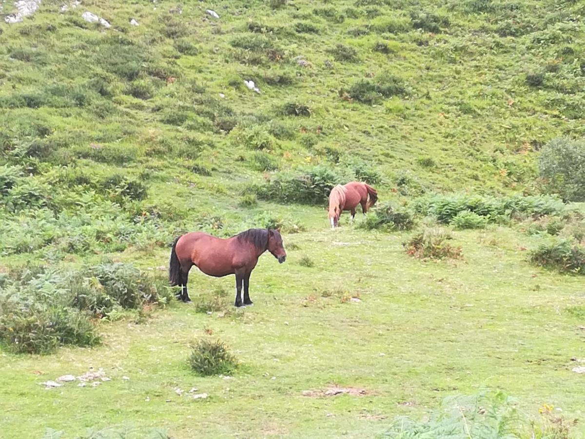 La Pasiega San Roque de Ríomiera 外观 照片