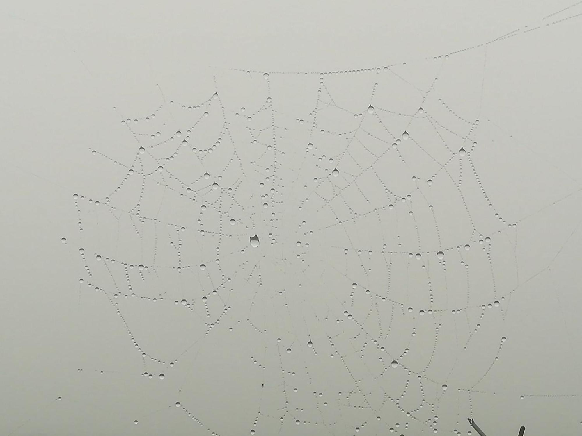 La Pasiega San Roque de Ríomiera 外观 照片
